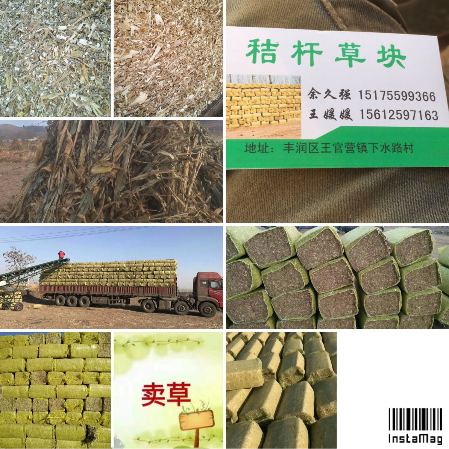 有需要好质量玉米秸秆压块草的和我联系.质量好价格低
